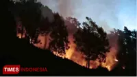 Area Gunung Buthak, kawasan Pegunungan Panderman Jumat (17/8/2018) terbakar dan hingga saat ini masih belum bisa dilakukan upaya pemadaman. (Pusdalop PB BPBD Kota Batu/TIMES Indonesia)