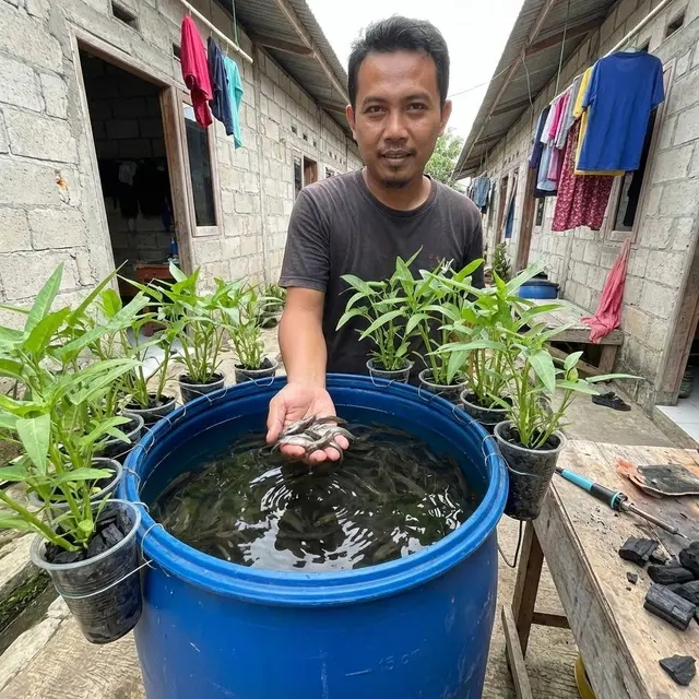 Ternak lele di kolam ember dengan benih sehat (Gemini AI)
