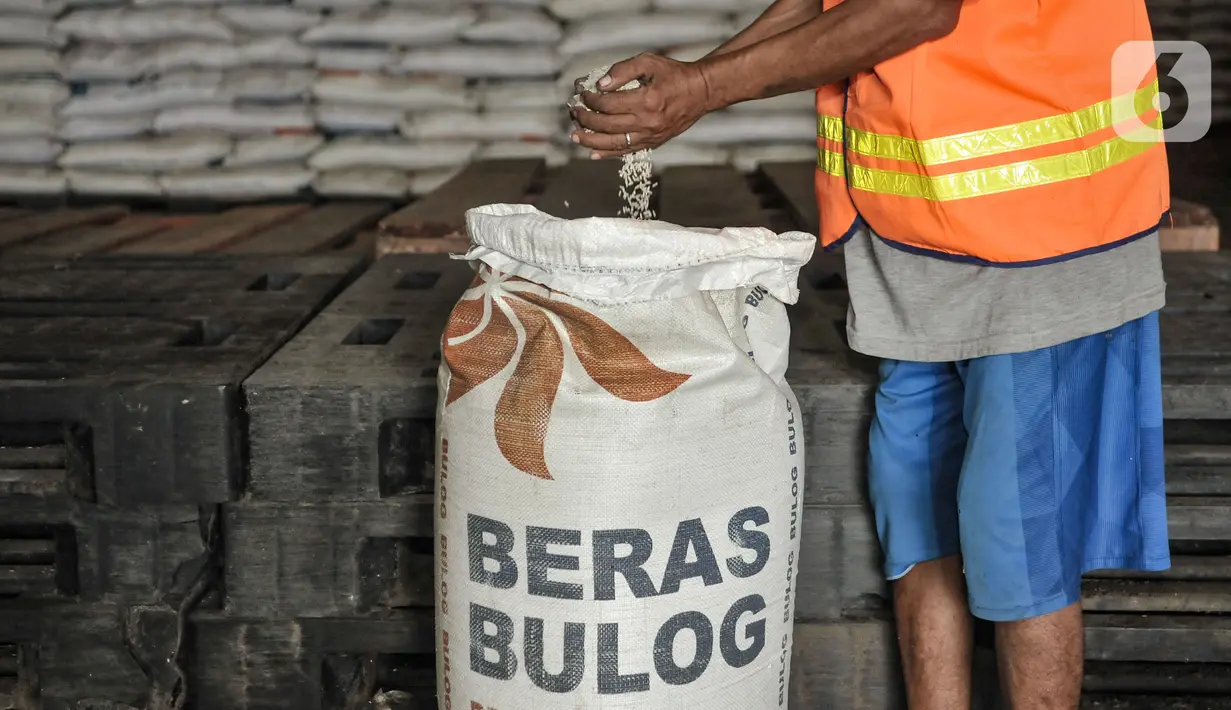 Pekerja menunjukkan kualitas beras dari salah satu karung di Gudang Bulog Divisi Regional DKI Jakarta, Kelapa Gading, Kamis (18/3/2021). Dari jumlah tersebut, 106.642 ton di antaranya merupakan beras turun mutu. (merdeka.com/Iqbal S Nugroho)