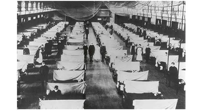 Flu spanyol