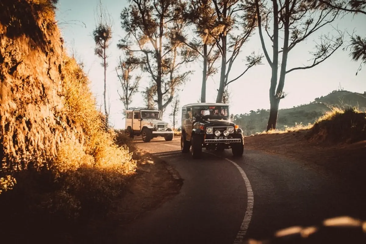 Ilustrasi road trip
