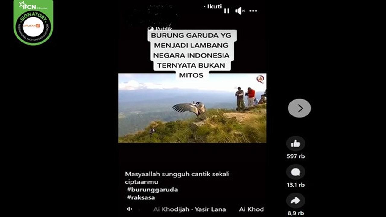 Gambar tangkapan layar video yang diklaim penampakan burung Garuda. (sumber: Facebook)