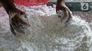 Pekerja menyelesaikan pembuatan tepung tapioka di industri rumahan kawasan Legok Nyenang, Kadumanggu, Kabupaten Bogor, Jawa Barat, Minggu (1/8/2021). Industri rumahan pembuatan tepung tapioka ini berada di luas lahan 1,5 hektare. (Liputan6.com/Herman Zakharia)