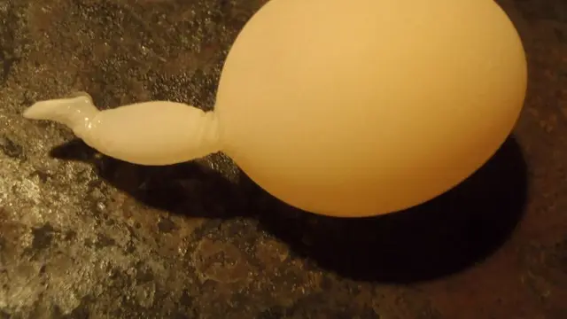 6 Potret Telur Ayam dengan Bentuk Unik, Ada yang Sebesar Kelereng