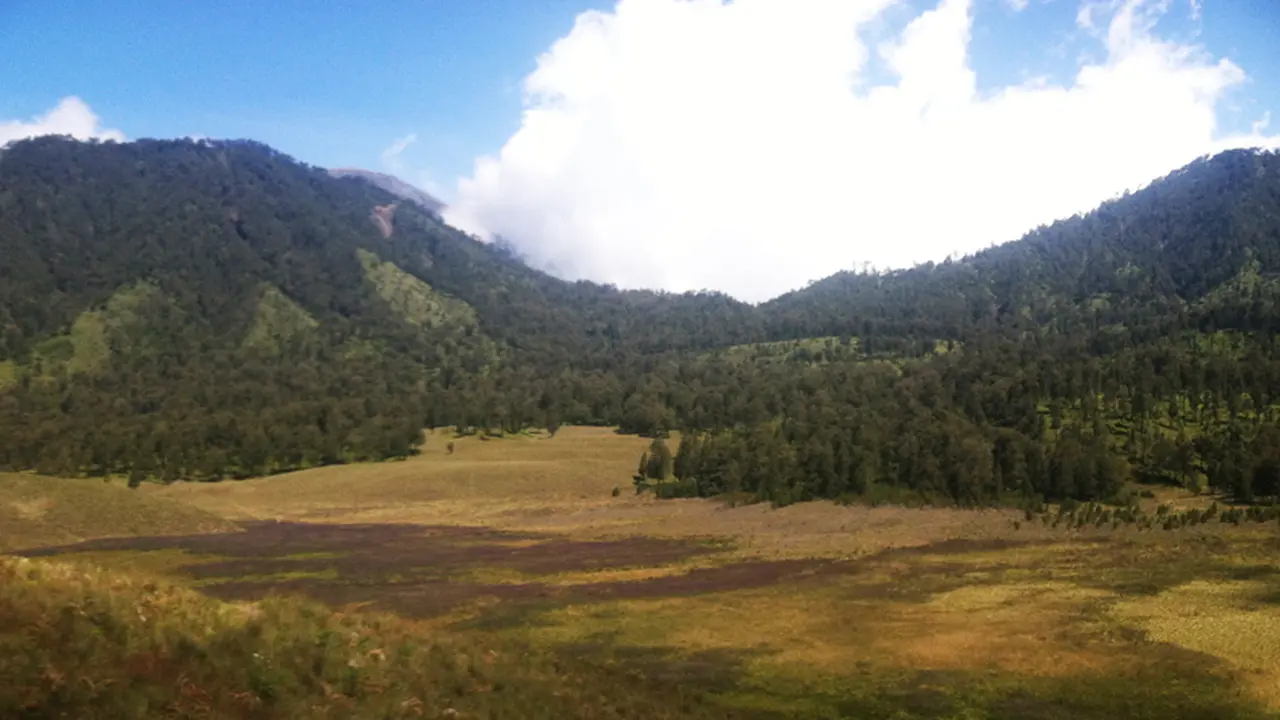 gunung