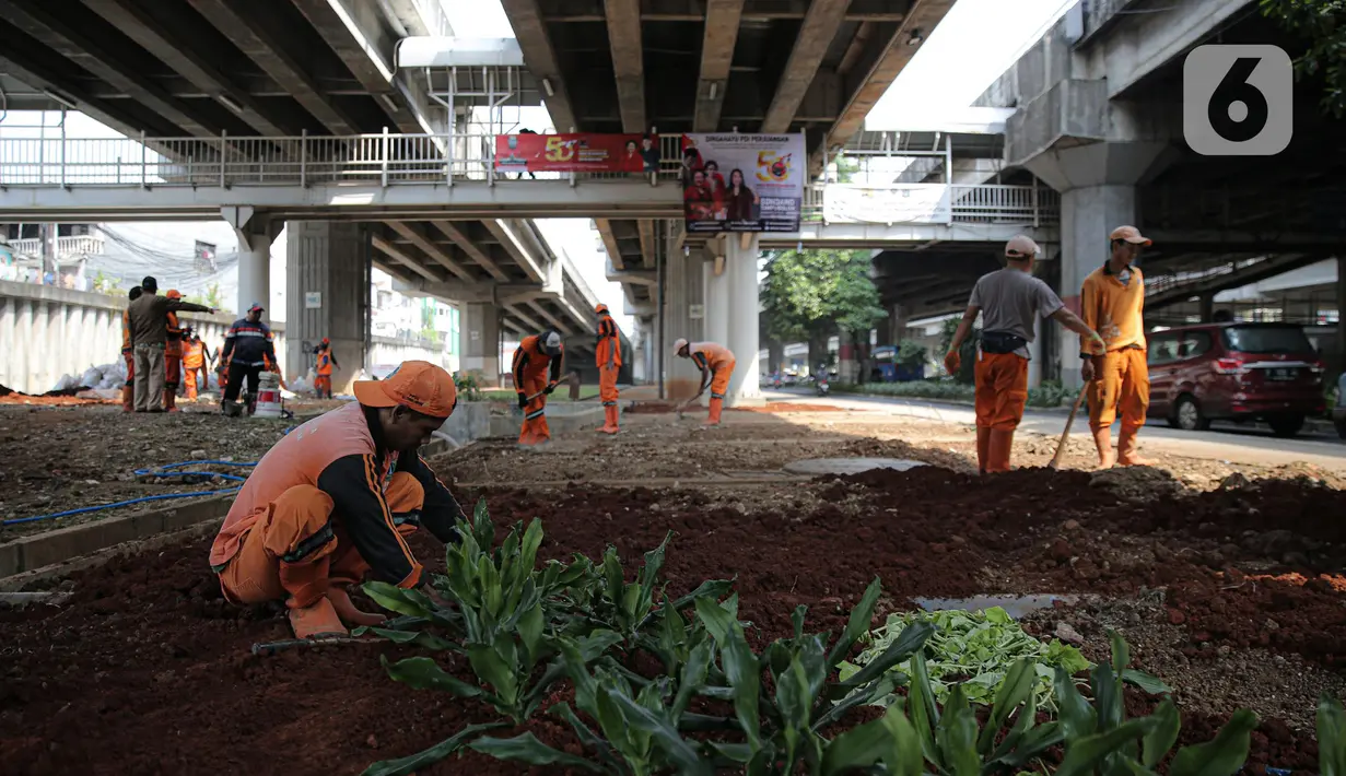 Sejumlah petugas PPSU menanam pohon di kolong Tol Becakayu, Jakarta, Kamis (12/1/2023). Pemerintah Provinsi DKI Jakarta melakukan penataan lahan melalui program penghijauan sepanjang lima kilometer di tepi saluran Kalimalang  kolong tol Bekasi Cawang Kampung Melayu (Becakayu), Jakarta Timur untuk menjaga mutu air baku Jakarta. (Liputan6.com/Faizal Fanani)