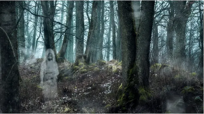 Courtesy ShutterStock.com