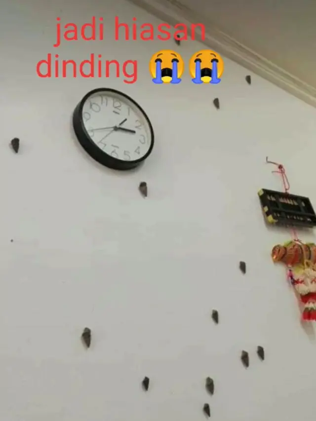 Beberapa siput berhasil lolos dari maut