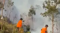Kebakaran Hutan Lawu Berstatus Tanggap Darurat