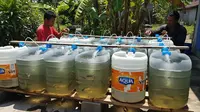 7 Ide Ternak Lele dari Barang Bekas di Rumah, Solusi Praktis Panen Ikan di Lahan Sempit