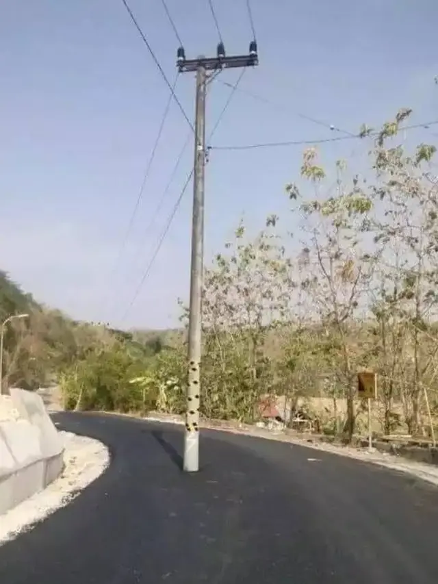 7 Potret Tiang Listrik di Lokasi yang Tidak Semestinya Ini Bikin Geleng Kepala