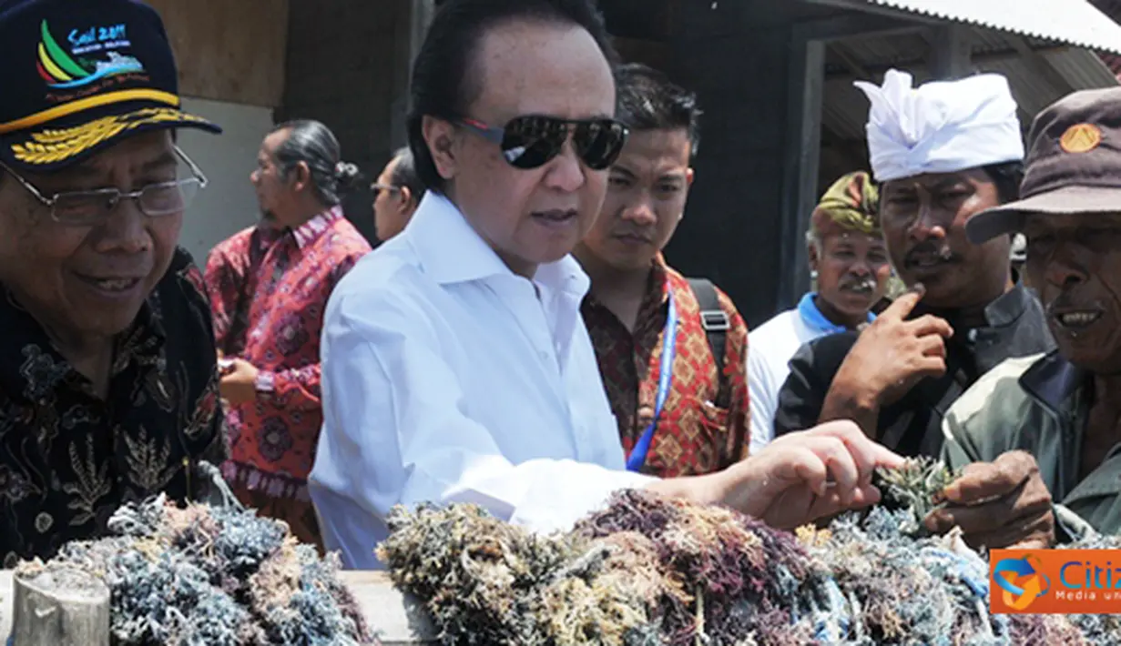 liputan6