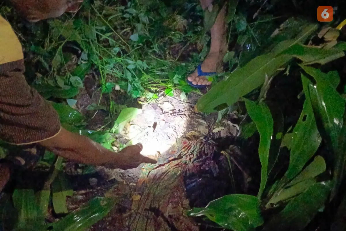 Lokasi penemuan bayi laki-laki terlilit ari-ari di kebun warga Kecamatan Gunungguruh Kabupaten Sukabumi (Liputan6.com/Istimewa).