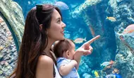 Potret Aurelie Moeremans Ajak Baby Tommy Jalan-jalan ke Aquarium