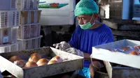 MBG Bantu Pabrik Roti Rumahan di Sukoharjo Kembangkan Usaha dan Serap Tenaga Kerja