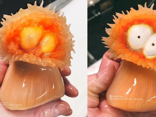 Nelayan Ini Koleksi Ikan Aneh Dari Laut Dalam 6 Potretnya Bikin Merinding Hot Liputan6 Com