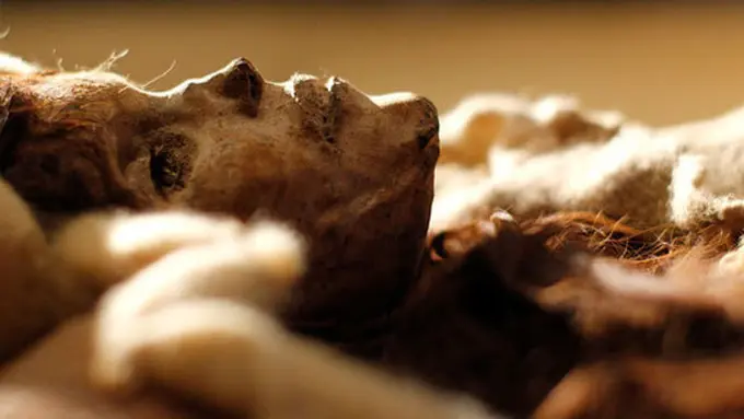 Photo copyright ft.com