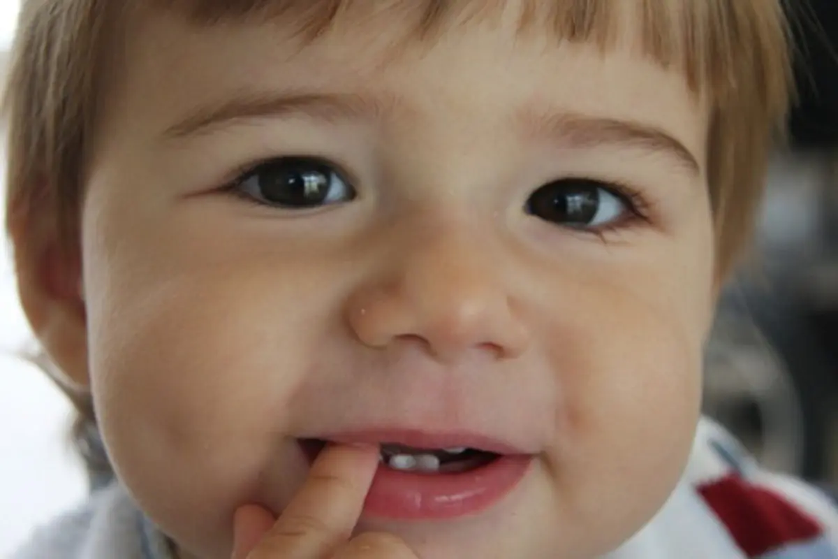 Photo copyright Thinkstockphotos.com