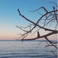 'Hopping island' paling tak terlupakan di Morotai, Maluku Utara.