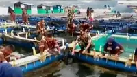 Program emas biru dan emas hijau digalakan masyarakat Maluku. Sementara itu, Video rekaman celoteh balita Joanna menggemaskan.