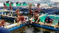 Segmen 3: Program Masyarakat Maluku hingga Celoteh Balita Lucu