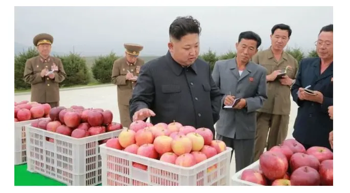 Foto Kim Jong-un sedang meninjau perkebunan buah (Sumber: BBC)