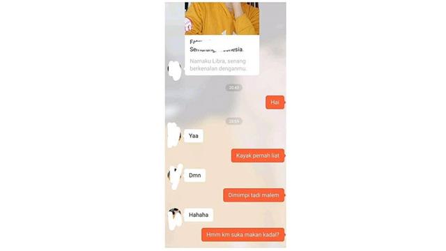 6 Chat Ngajak Kenalan Ini Enggak Jelas Banget, Bikin Geregetan