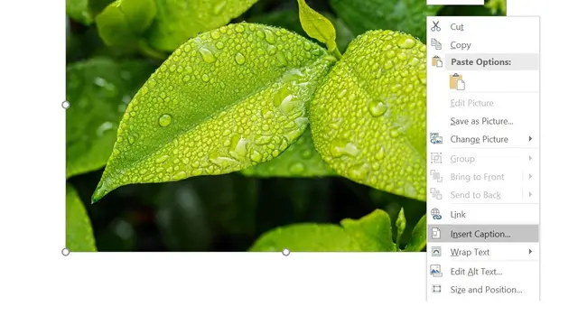 Cara membuat daftar gambar di Microsoft Word