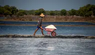 Pemerintah Diminta Kaji Ulang Tambahan Kuota Impor Garam Industri