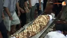 liputan6