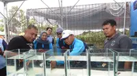 Wakil Gubernur Jawa Barat Uu Ruzhanul Ulum bersama Wali Kota Sukabumi Achmad Fahmi meresmikan pasar ikan hias Forum Ikan Hias Sukabumi Raya