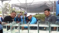 Wagub Jabar Dorong Sukabumi Jadi Destinasi Wisata Ikan Hias