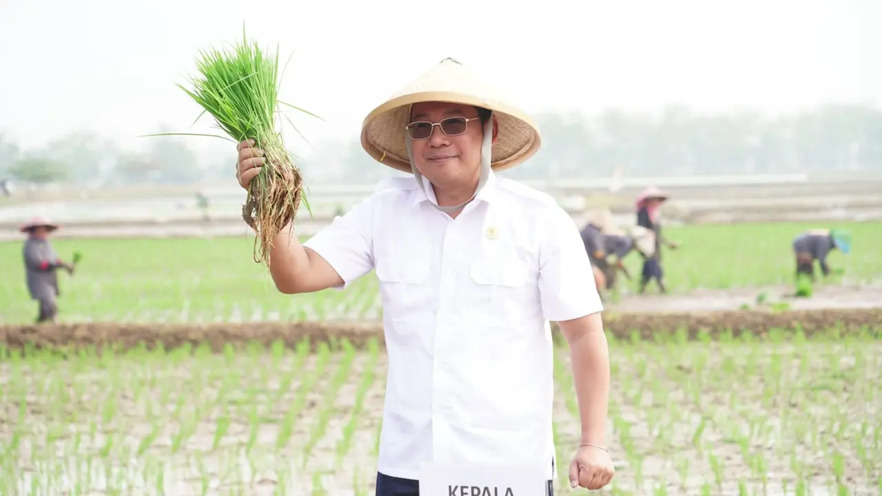 Kepala Badan Pangan Nasional (Bapanas/NFA) Arief Prasetyo Adi buka suara menanggapi kebijakan larangan eskpor beras dari India.