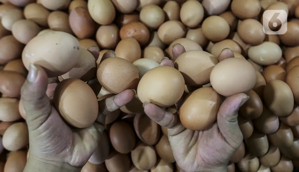 Pedagang menunjukkan telur ayam ras di salah satu stan Pasar Kebayoran Lama, Jakarta, Selasa (29/12/2020). Dinas KPKP Provinsi DKI Jakarta menyiapkan operasi pasar guna mengendalikan harga pangan, salah satunya telur ayam yang mengalami kenaikan jelang Tahun Baru 2021. (Liputan6.com/Johan Tallo)
