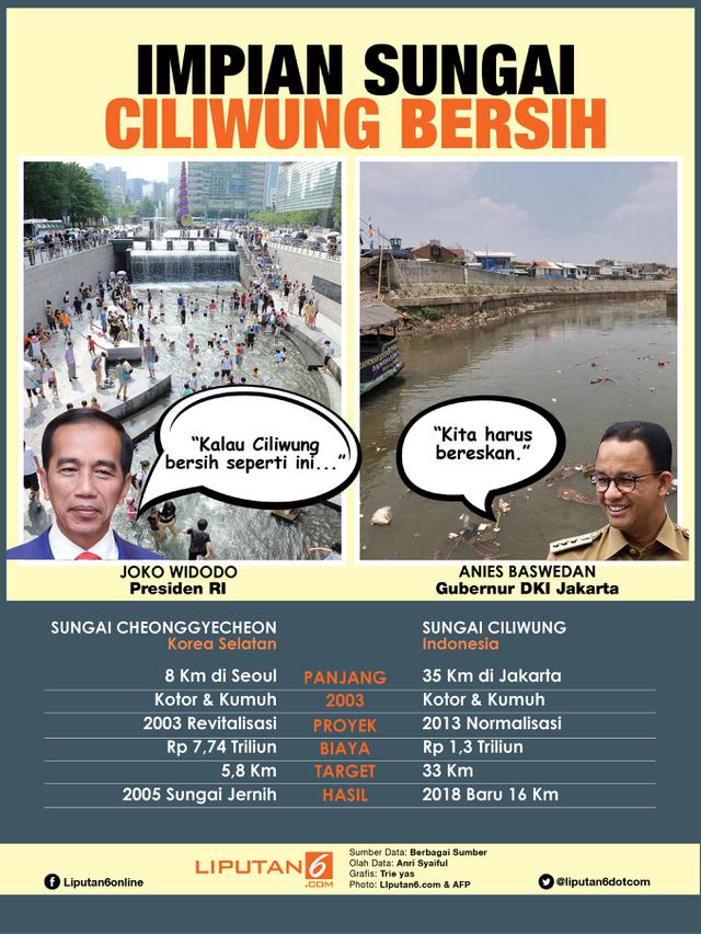 Infografis Impian Sungai Ciliwung Bersih