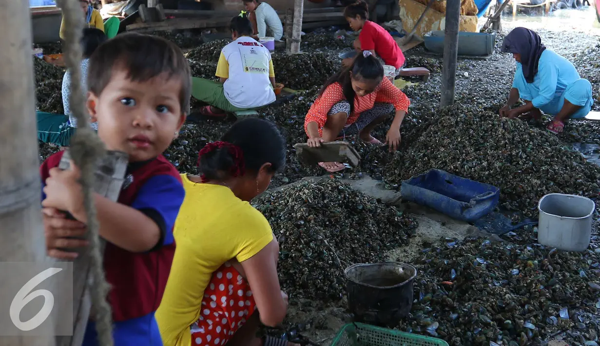 Seorang bocah terlihat berada di tempat pengupasan kulit kerang di pemukiman nelayan, Jakarta, Rabu (19/8). Meski berada di Ibukota, para pekerja ini hanya diupah 30 ribu perhari. (Liputan6.com/Angga Yuniar)