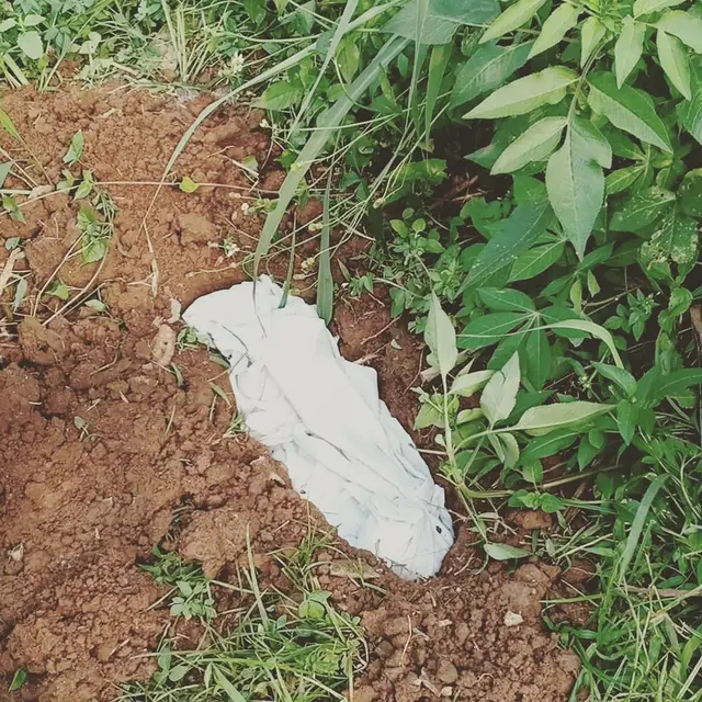 6 Momen Haru Umi Pipik Kuburkan Kucing Usai Kecelakaan, Bikin Tersentuh