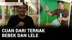 Di Kulon Progo, Yogyakarta, ada anggota polisi yang memiliki usaha sampingan berupa ternak bebek petelur dan lele dengan nilai omzet jutaan rupiah dalam sehari. Bagi Brigadir Agus Nurmansyah, usahanya tak sekedar membawa cuan, tapi juga sebagai bentu...