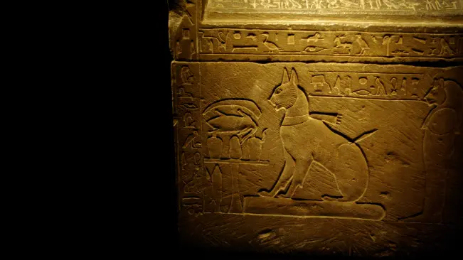Ilustrasi kucing di sarkofagus Pangeran Thutmose. (Sumber Wikimedia Commons)