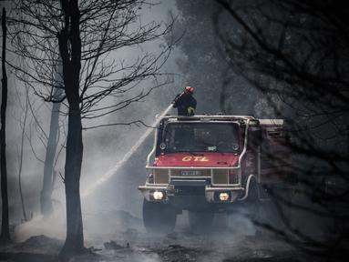 Seorang petugas pemadam kebakaran menyemprotkan air ke pohon selama kebakaran hutan di Saumos, pinggiran barat Bordeaux, Prancis barat daya (13/9/2022). Kebakaran yang berlangsung sejak 12 September 2022 telah menyebar sekitar 1800 hektar vegetasi dan hutan di Saumos dan memaksa evakuasi kota dalam konteks suhu tinggi di Gironde. (AFP/Philippe Lopez)