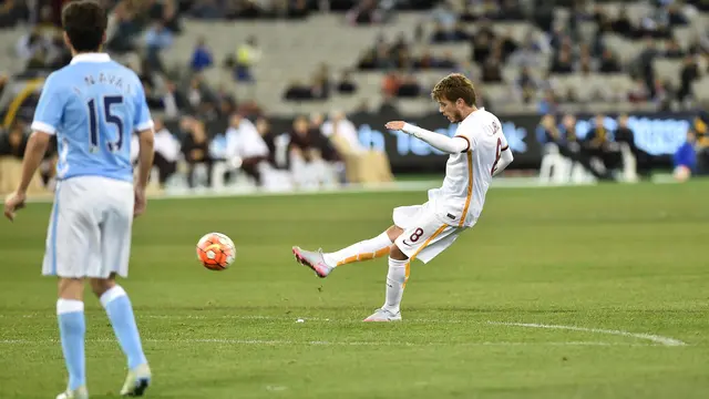 Adem Ljajic