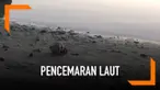 Seekor kelomang atau yang lebih dikenal umang-umang tampak menggunakan sebuah kepala boneka bekas sebagai pengganti rumah kerangnya. Momen ini diambil oleh seorang relawan di Pulau Wake.