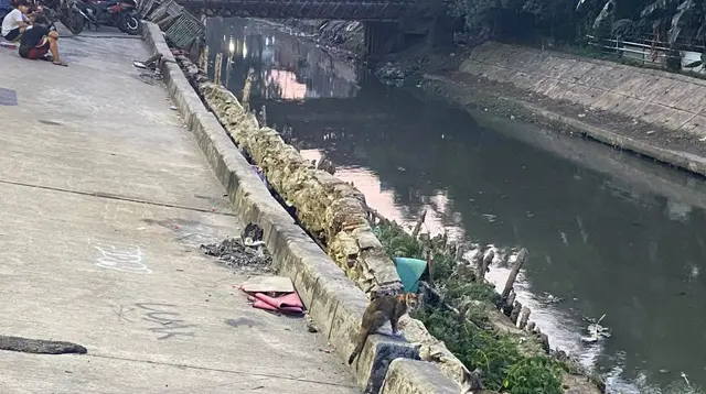 Jalan Amblas Pulo Gadung Diduga Disebabkan Alat Berat