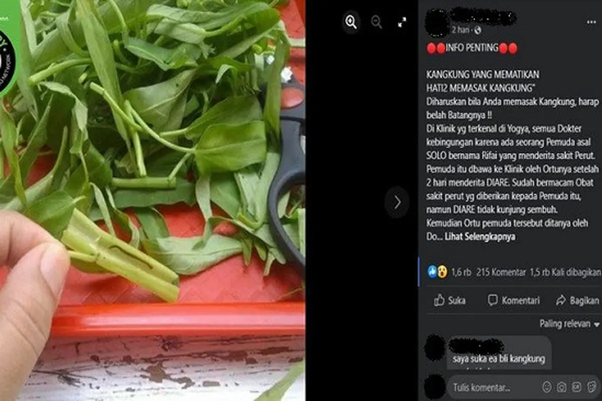 Gambar Tangkapan Layar Kabar Seorang Pria Asal Solo Meninggal Dunia Usai Makan Kangkung Berisi Lintah (sumber: Facebook).