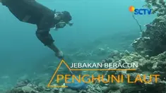 Penggunaan zat kimia dalam menangkap ikan sebenarnya menyerempet pelanggaran hukum