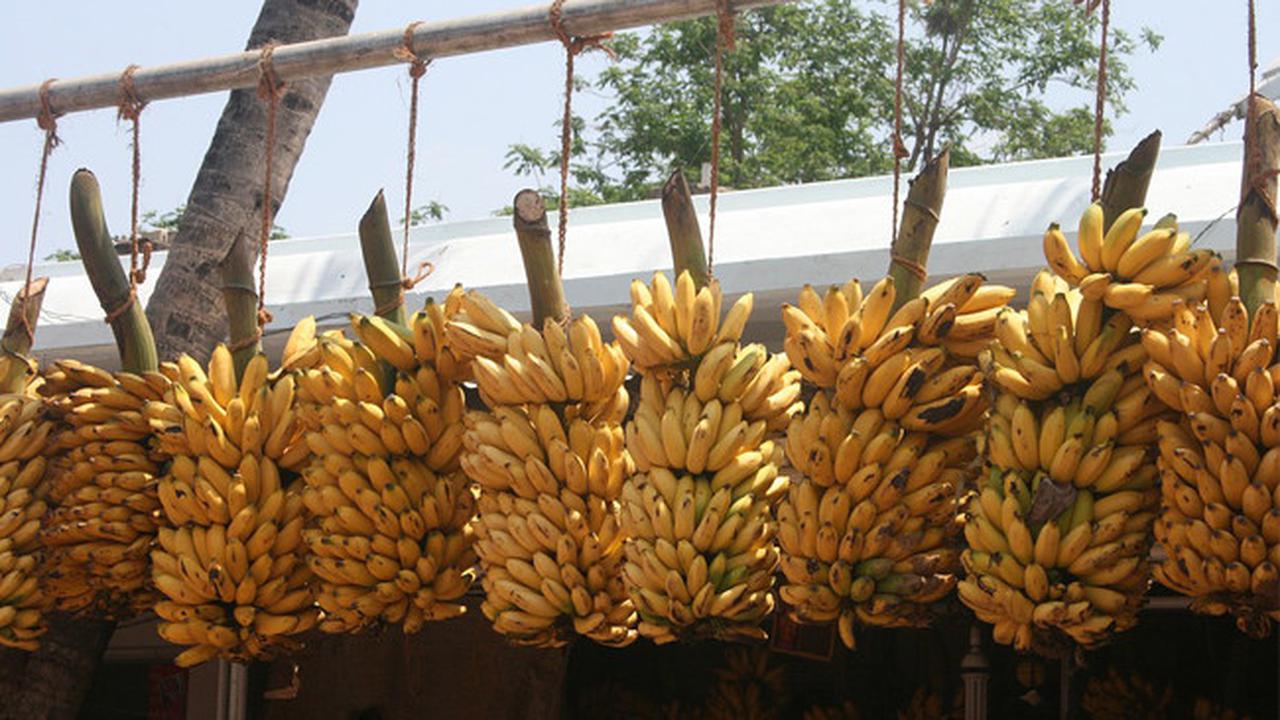 Kreatif Buah Pisang Diubah Jadi Gambar-Gambar Kreatif nan Lucu