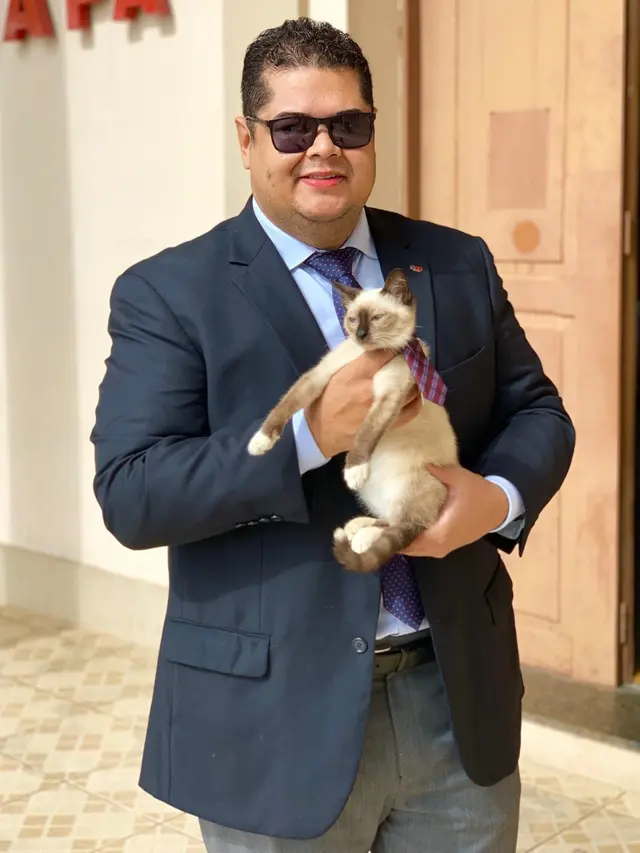 6 Potret Lucu Leon Avogato, Kucing Liar yang Jadi Karyawan di Firma Hukum