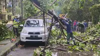 Sebuah mobil yang terparkir di depan gedung DPRD Kota Depok tertimpa pohon tumbang akibat hujan dan angin melanda Kota Depok (Liputan6.com/Dicky Agung Prihanto)