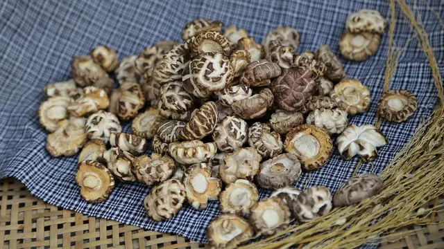 Manfaat Jamur Shitake untuk Kesehatan