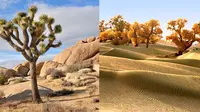 Potret 10 Gurun Pasir yang Paling Menarik di Dunia. (Sumber: Brain Berries)